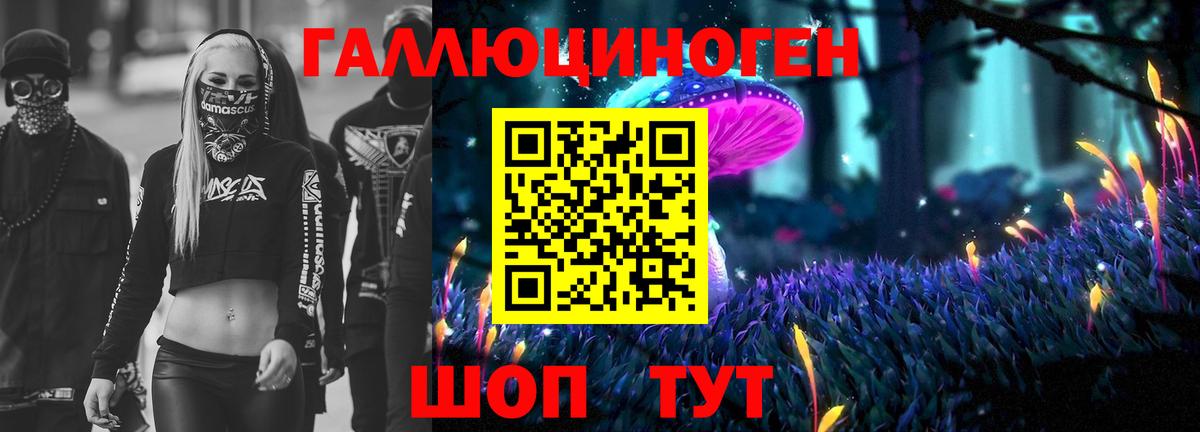 Псилоцибиновые грибы мухоморы  Вход с VPN  Псилоцибиновые грибы мухоморы  Холмск 